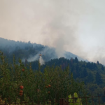 Πυρκαγιά σε δασική έκταση στη Βασιλίτσα Κόνιτσας – Επιχειρούν 10 πυροσβέστες και 1 ελικόπτερο