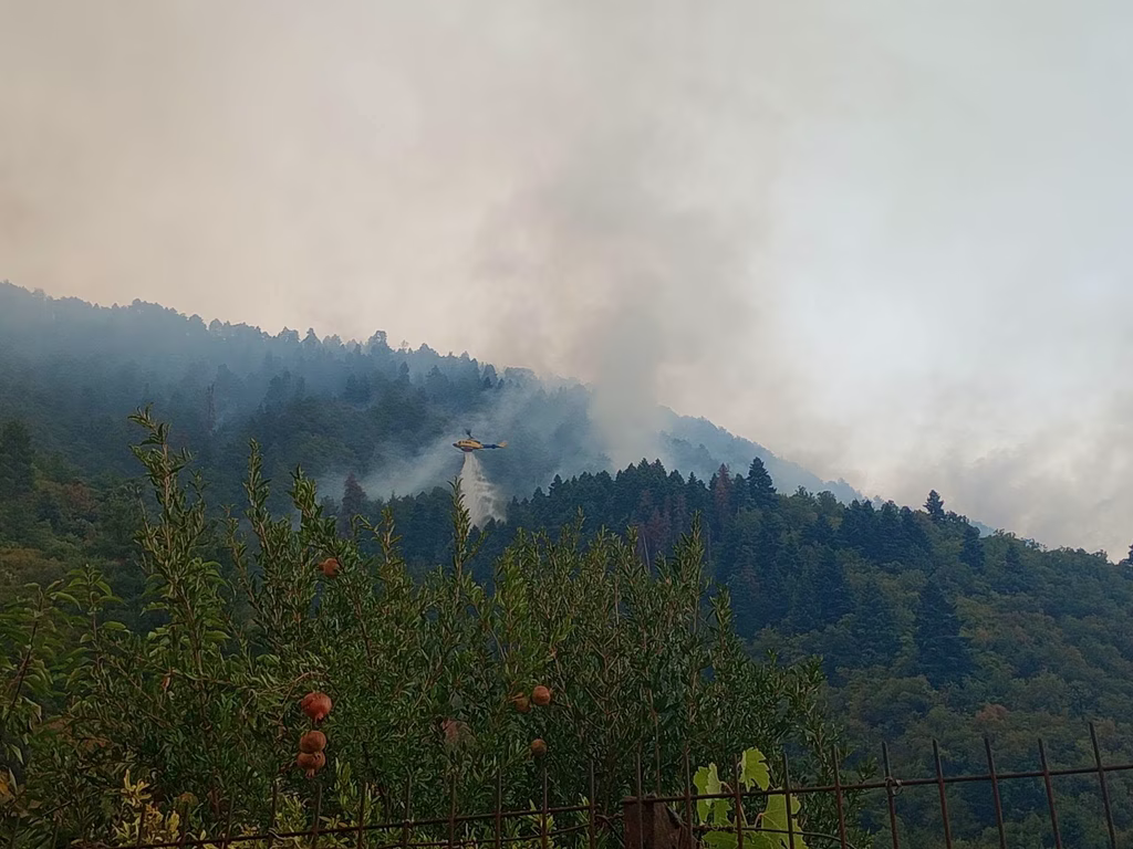 Πυρκαγιά σε δασική έκταση στη Βασιλίτσα Κόνιτσας – Επιχειρούν 10 πυροσβέστες και 1 ελικόπτερο