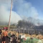 Πυρκαγιά σε δασική έκταση στο Ελαιοχώρι Καβάλας – Επιχειρούν 18 πυροσβέστες και 3 εναέρια μέσα