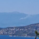 Πυρκαγιά σε δασική έκταση στους Κωφούς Μαγνησίας – Επιχειρούν 35 πυροσβέστες και 4 εναέρια μέσα