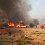Πυρκαγιά σε χαμηλή βλάστηση στον Χώνο Λασιθίου Κρήτης – Κινητοποιήθηκαν 31 πυροσβέστες και 2 ελικόπτερα