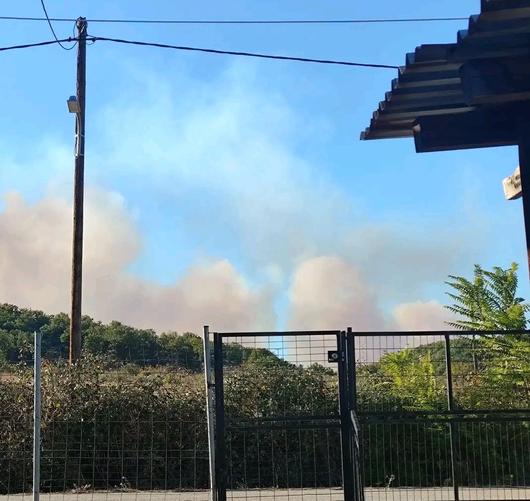 Πυρκαγιά σε δασική έκταση στη Ρούσα Σουφλίου