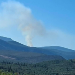 Πυρκαγιά σε δασική έκταση στον Αυλώνα Μεσσηνίας