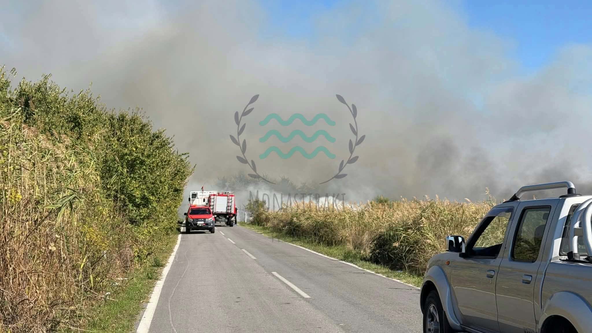 Πυρκαγιά σε χαμηλή βλάστηση στο Μοναστηράκι Καβάλας
