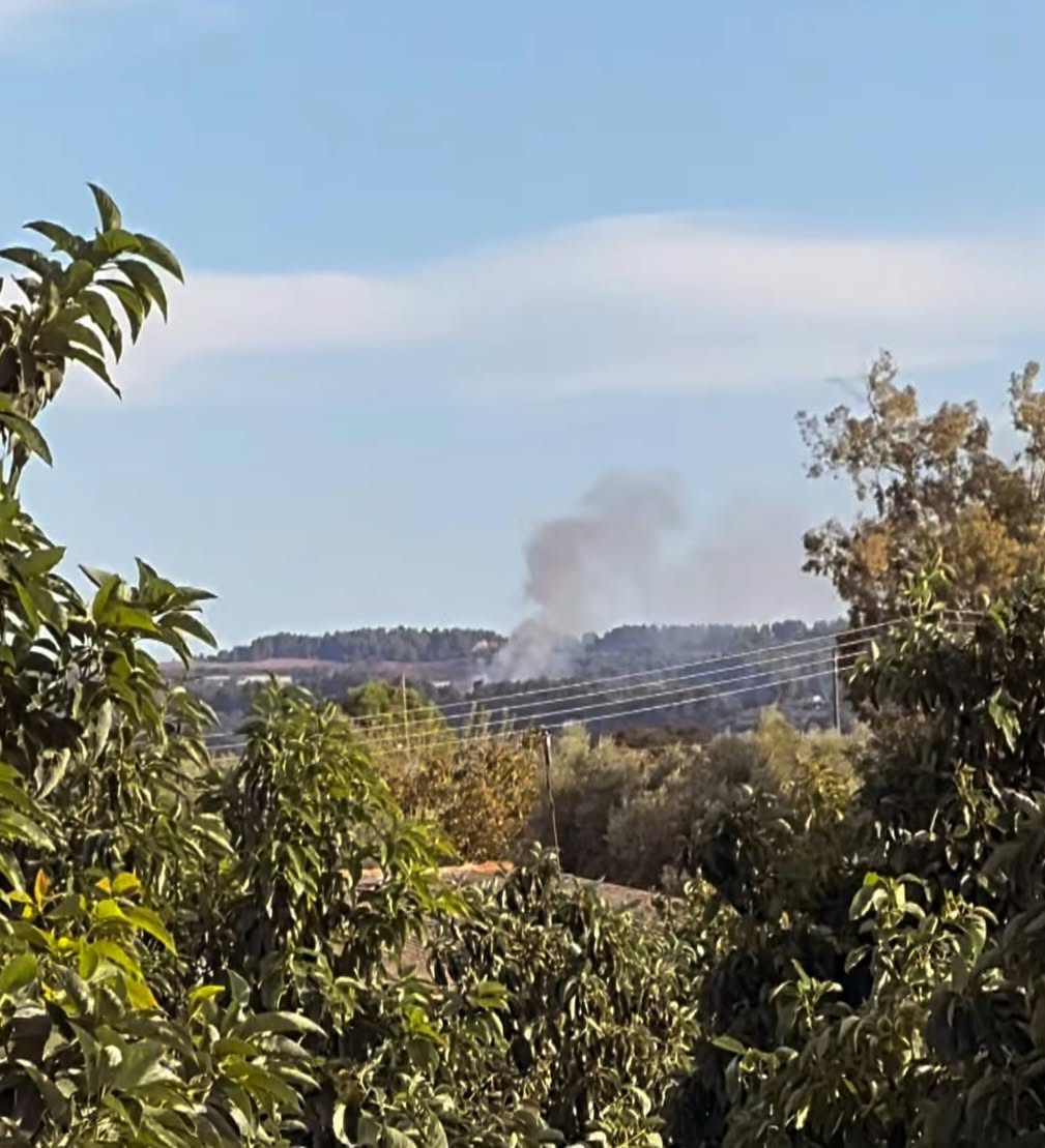 Πυρκαγιά σε χαμηλή βλάστηση στη θέση «Τριανταφυλλιά» Πύργου Ηλείας Πυρκαγιά σε χαμηλή βλάστηση στη θέση «Τριανταφυλλιά» Πύργου Ηλείας