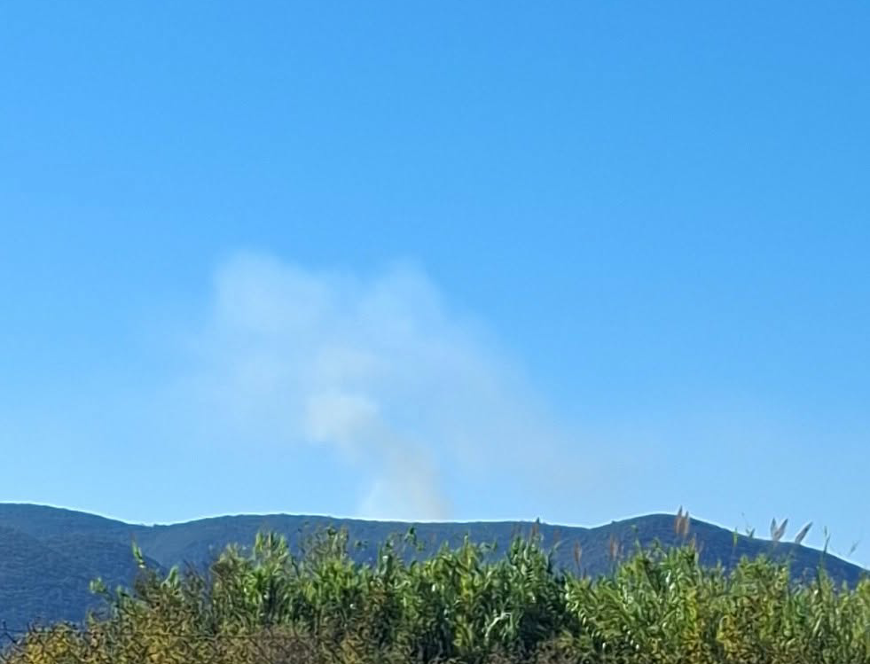 Πυρκαγιά σε δασική έκταση στον Αυλώνα Μεσσηνίας Πυρκαγιά σε δασική έκταση στον Αυλώνα Μεσσηνίας