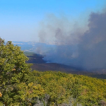 Ενισχύθηκαν ξανά οι δυνάμεις στη Ρούσα Σουφλίου – 220 πυροσβέστες και 17 εναέρια μέσα