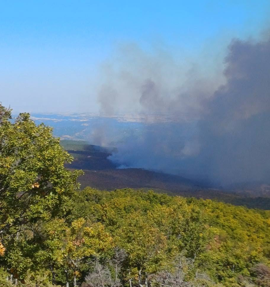 Ενισχύθηκαν ξανά οι δυνάμεις στη Ρούσα Σουφλίου – 220 πυροσβέστες και 17 εναέρια μέσα