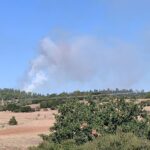 Πυρκαγιά σε αγροτοδασική έκταση στη Γαλήνη Θεσσαλονίκης
