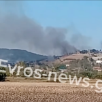 Πυρκαγιά σε χαμηλή βλάστηση στο Σπήλαιο Ορεστιάδας