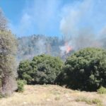 Πυρκαγιά σε δασική έκταση στο Καταφύλλι Καρδίτσας
