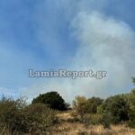 Πυρκαγιά σε χαμηλή βλάστηση πάνω από το ΚΕΥΠ στη Λαμία