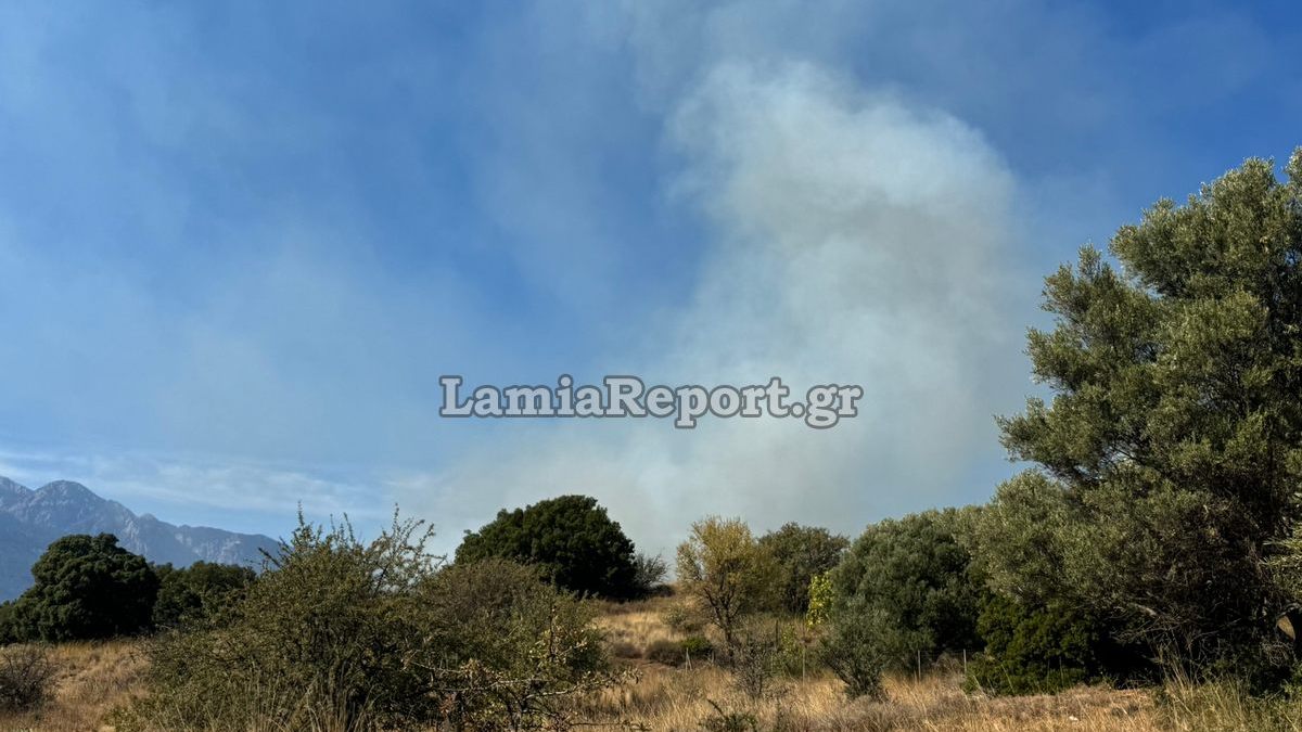Πυρκαγιά σε αγροτοδασική έκταση στη Λαμία Πυρκαγιά σε αγροτοδασική έκταση στη Λαμία